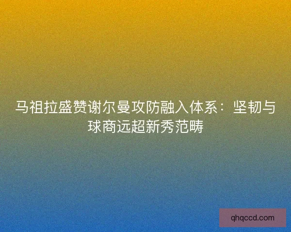 马祖拉盛赞谢尔曼攻防融入体系：坚韧与球商远超新秀范畴